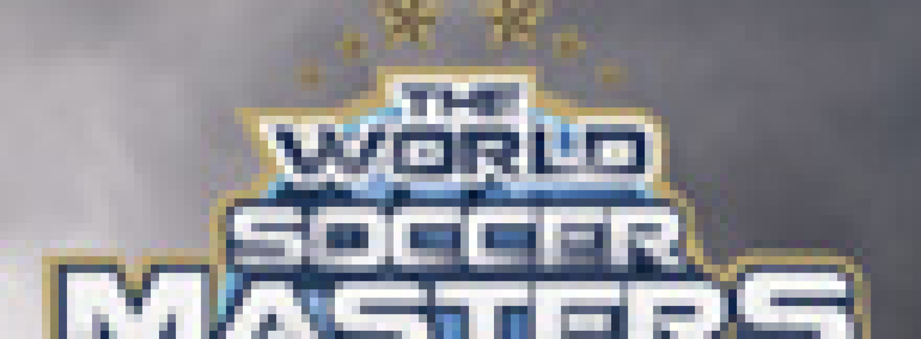 WORLD SOCCER MASTERS TOUR